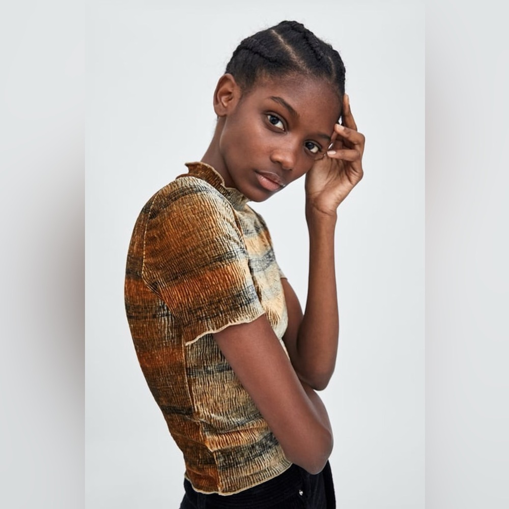 Zara Velour Velvet Multi-Color Textured Mock-Neck Top